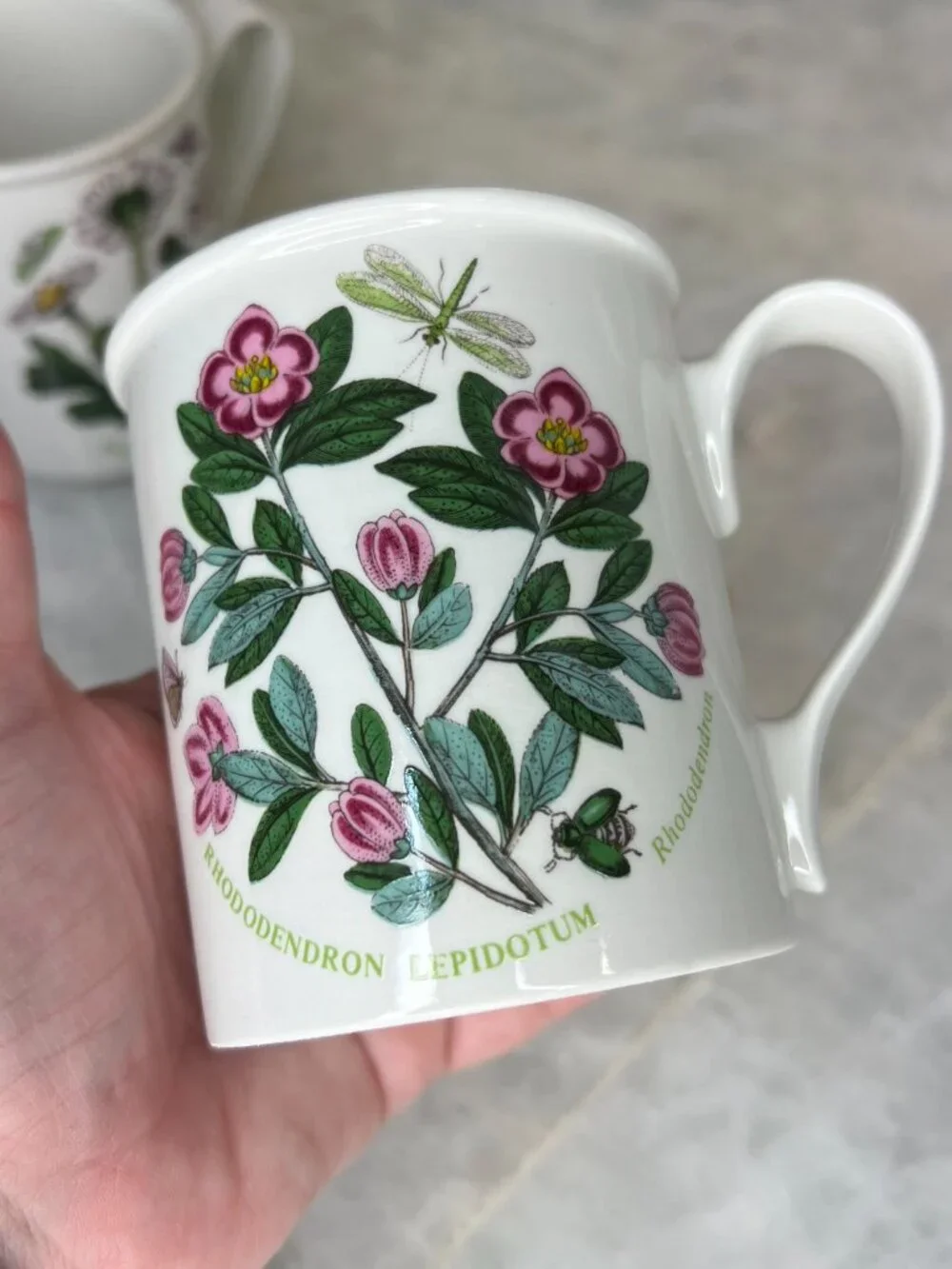 Set of 2 Portmeirion Botanic Garden‎ Beaker English Mugs - Rhododendron & Daisy